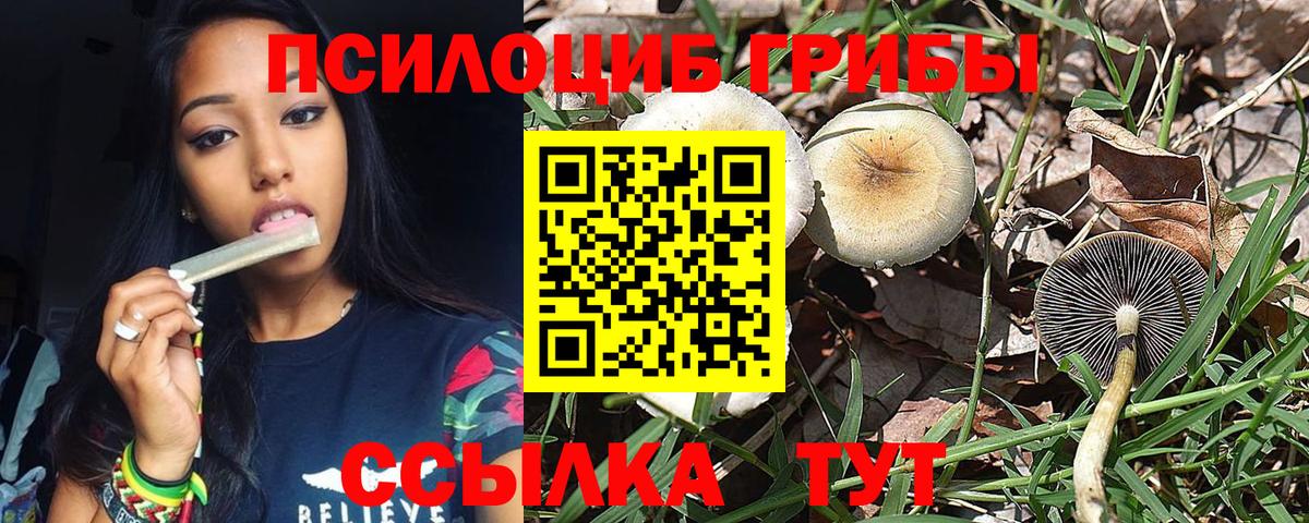 Светлоград  Галлюциногенные грибы Psilocybe  Вход с VPN 
