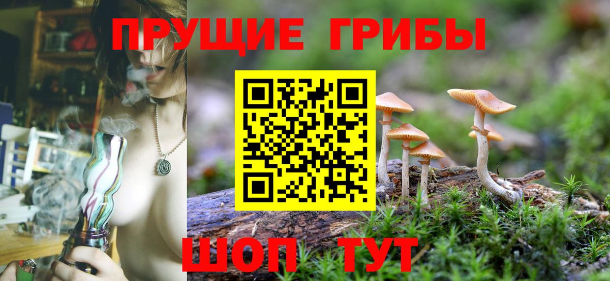 Галлюциногенные грибы Magic Shrooms Светлоград